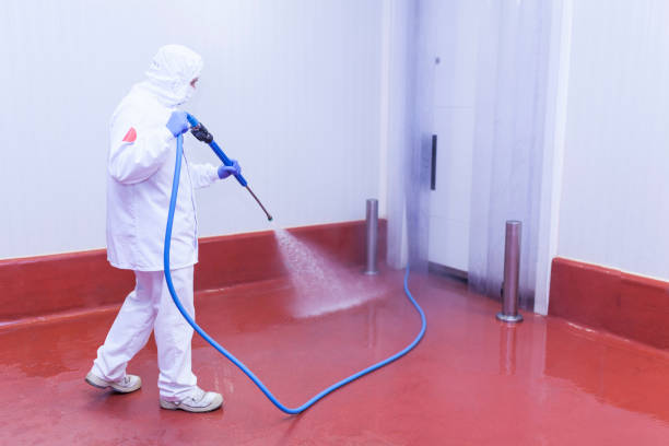 Best Restaurant Pressure Washing  in Roebling, NJ